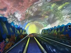 -成都浩海立方海洋公园