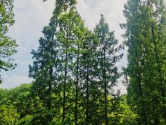 -兰亭风景区