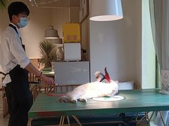 -喵喵咪呀布偶猫咖(春熙路店)