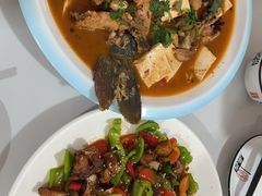 -煲来饱去冷水鱼