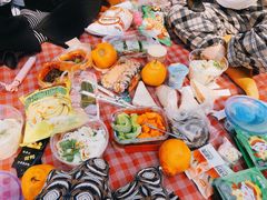 -长白岛森林公园