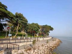 -深圳湾公园(南山区)
