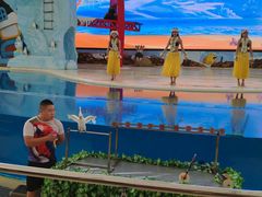 -三亚海昌梦幻海洋不夜城