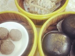 -肥佬夜茶(早茶·西乡店)