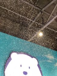 -Mr·Kuma酷么先生雪之乐园