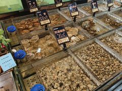 -浩运·海鲜青岛菜·海胆水饺(石老人店)