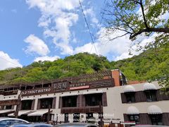 -Local泰莲庭(虹鳟鱼店)