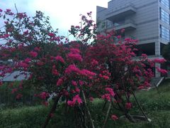 -厦门国家会计学院