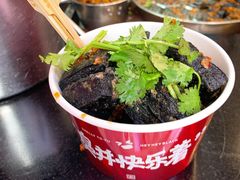 -黑色经典臭豆腐·湖南特产(步行街店)