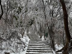 -紫金山山顶公园