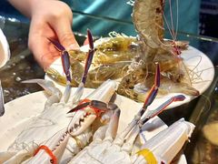 -领鲜活海鲜榴莲自助火锅(东门店)