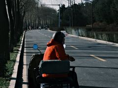 -洨河生态公园
