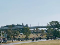 -宝安西湾红树林湿地公园