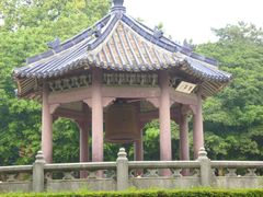 -中山大学学者灵芝(园南路店)