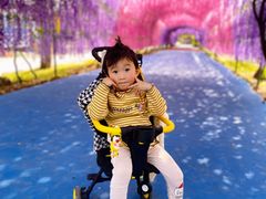 -广东花都香草世界旅游度假区