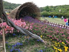 -苏州上方山国家森林公园
