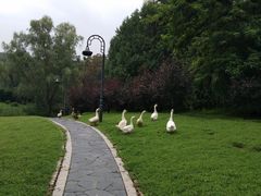 -北京宽沟会议中心