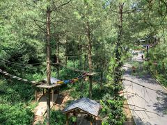 -梦幻奥陶纪景区