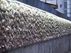 -囧吉香生蚝牛排馆(湖北路店)