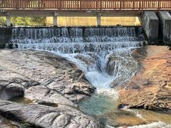 -广州白江湖森林公园