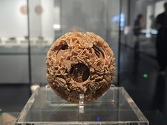 -广西壮族自治区博物馆