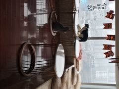 -Catmate·猫肥家润(金润铂宫店)
