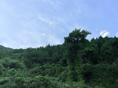 -妙峰山风景名胜区