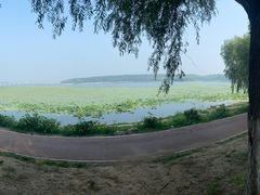 -丁香湖公园