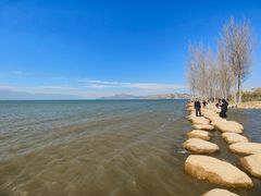 -洱海月湿地公园