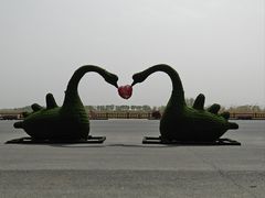 -泗洪洪泽湖湿地景区