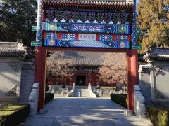 -香山公园