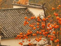 -塔川景区
