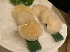 -汤城·料青山