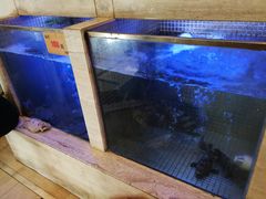 水产区-粤珍轩.创始店.始于2001(含光门店)