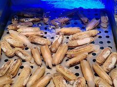 -SEA西雅图海鲜自助餐厅(海乐世界店)