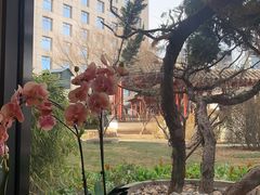 -九献创意菜·牛排馆(亮马河花园店)