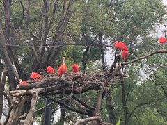 -武汉动物园