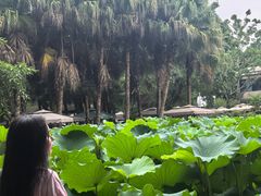 -三圣花乡旅游区