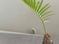 -南里山房(虹桥天地店)