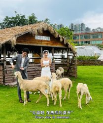 点击看大图 -爱城婚纱摄影·品质严选店