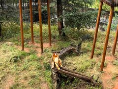 -云南野生动物园