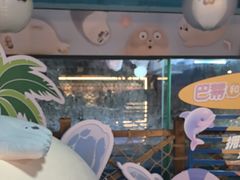 -海合安青岛极地海洋公园