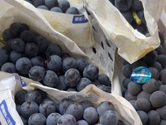 -马陆小张葡萄园农家乐