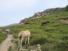-北京灵山风景区
