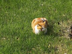 -陆家嘴世纪金融广场