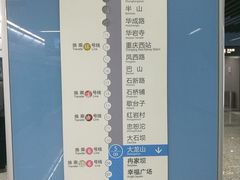 -大龙山(地铁站)