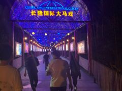 -广州长隆国际大马戏