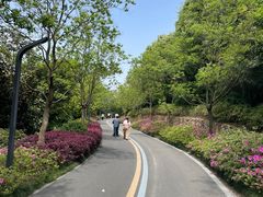 -临平公园(临平街道)