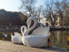 -金庭庄园酒店-停车场