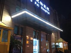 -申普宠物医院·心脏介入·心血管微创(总院)